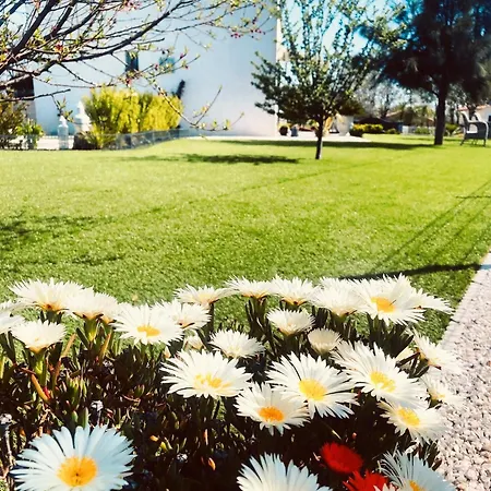 Maolo Bed & Breakfast Roquebrune-sur Argens