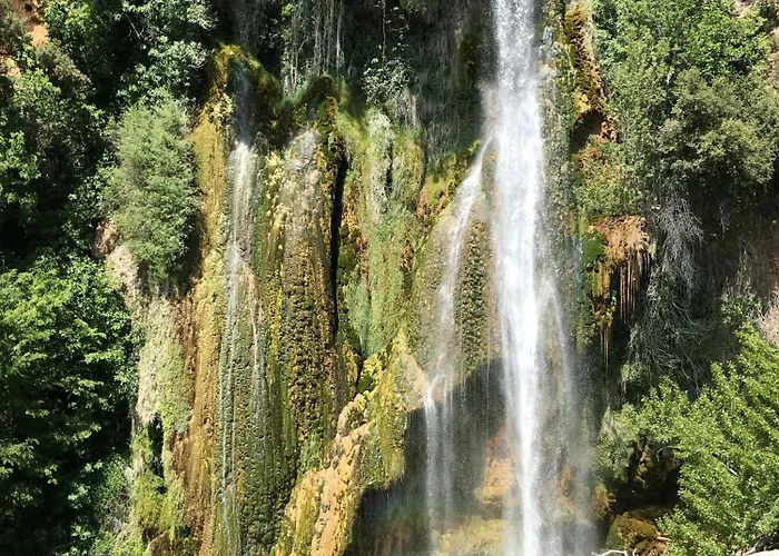 Oda ve Kahvaltı Maolo